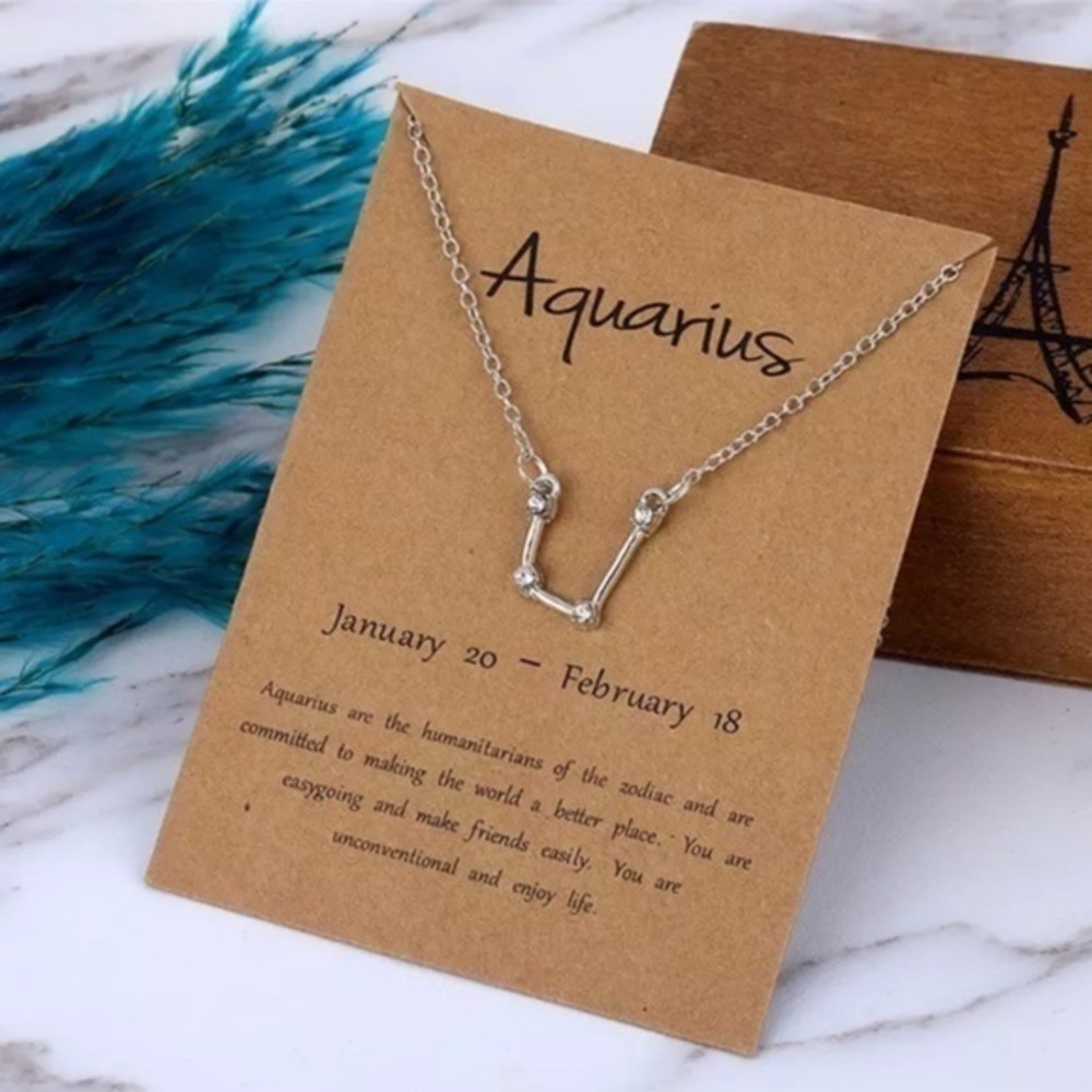 3/$30 ♒️ Aquarius Constellation Necklace